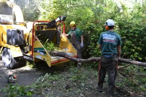 tree services Bushnell